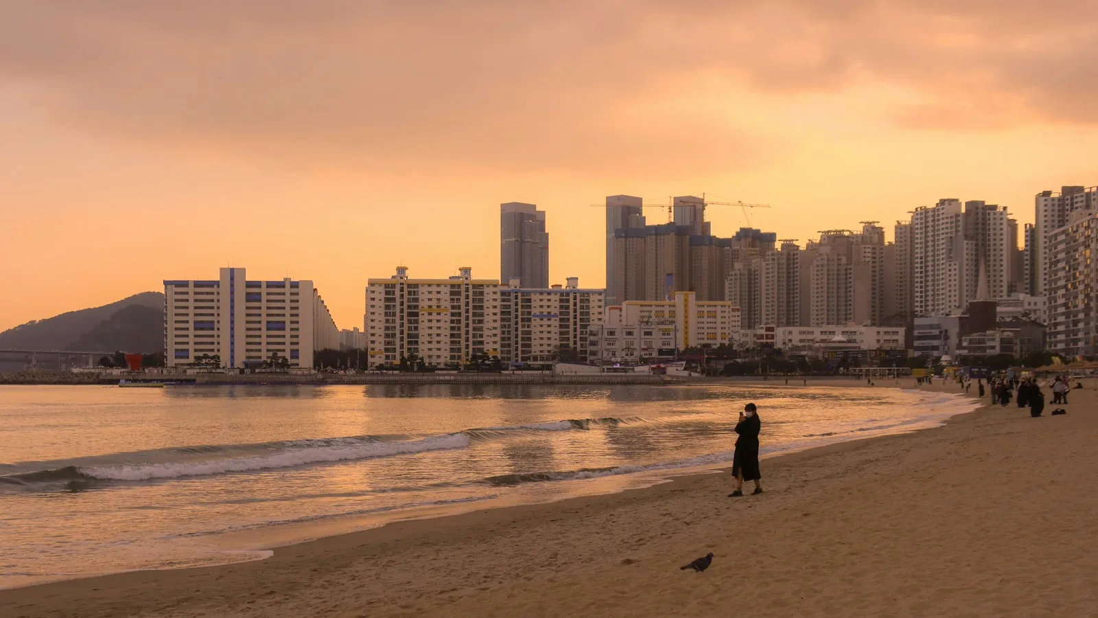 La plage de Haeundae : la grande plage urbaine